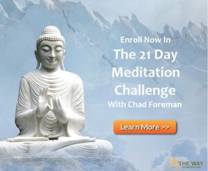 The Quest for Balance: Equanimity in Meditation