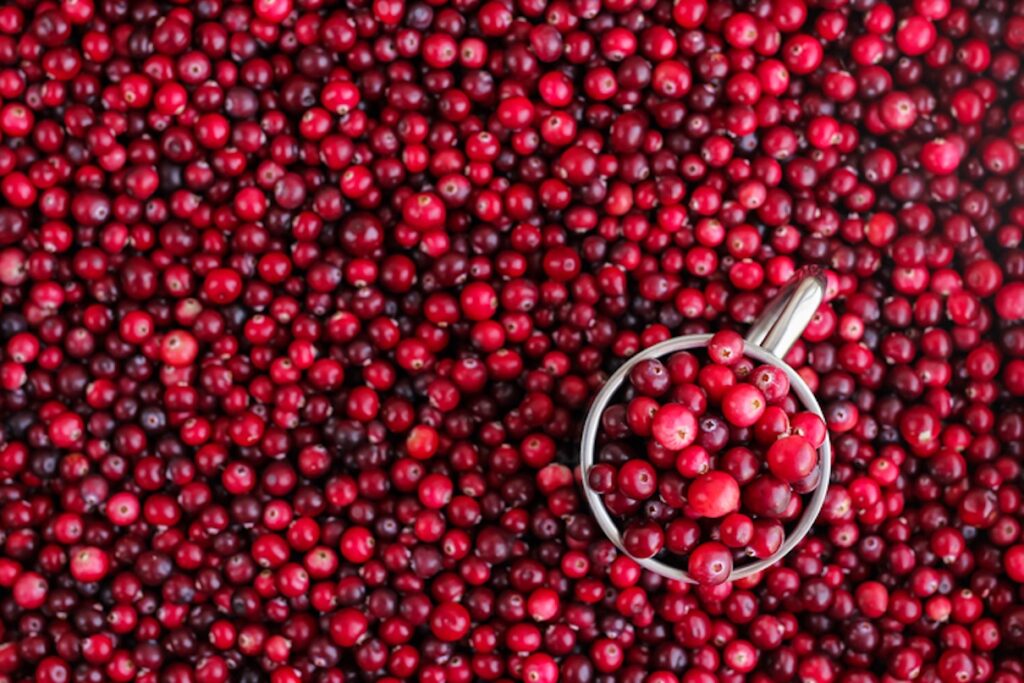 TikTok’s Viral Cranberry Recips for Winter TikTok's Viral Cranberry Recips for Winter