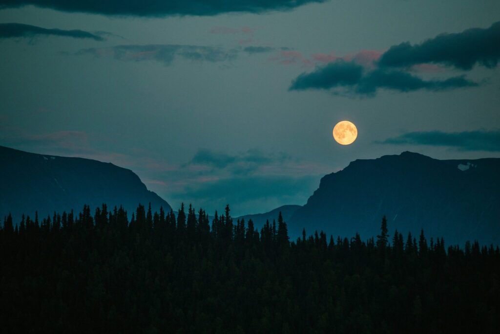 Under the Light of the Super Wolf Moon