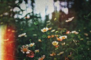 Things are changing - Positive Mindset