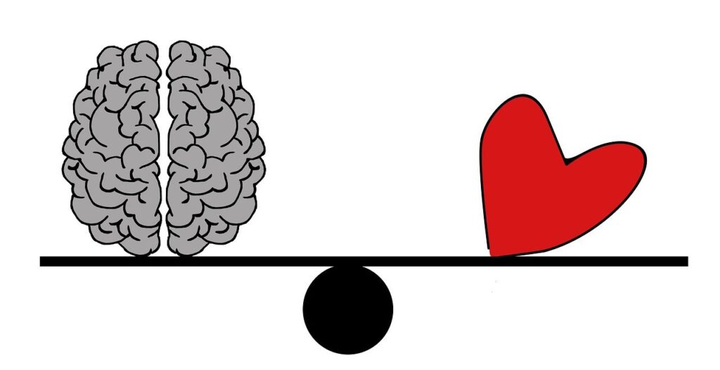 The Science Of Balancing The Heart And Mind The Science Of Balancing The Heart And Mind