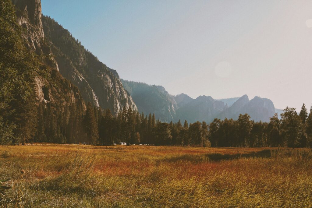 Welcome September: A mini new year Welcome September: A mini new year