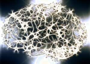 The Science Of How The Mind Affects The Immune System