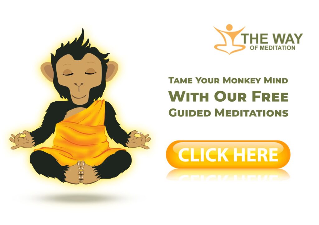 The Wisdom Of A Silent Mind