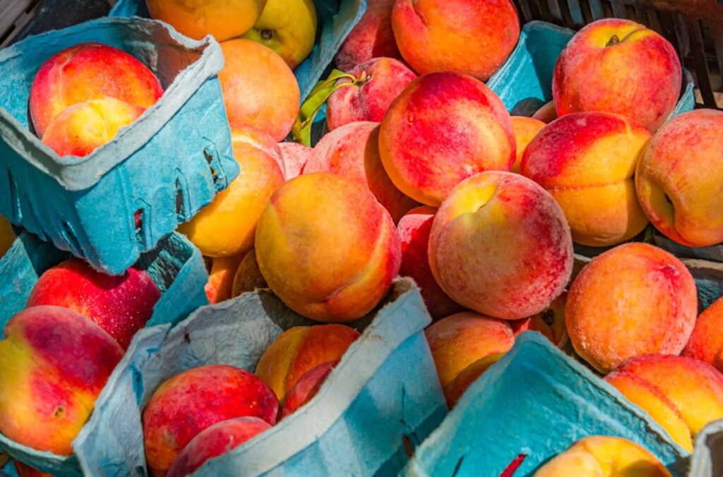 5 Health Benefits of Peaches 5 Health Benefits of Peaches