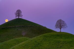 July's Full Buck Moon - TCM World