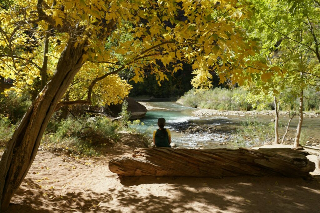 Learning to Listen – Learning to Listen - TCM World