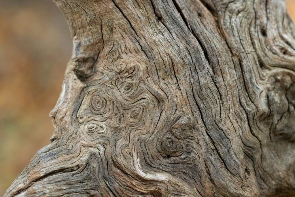 Nature Knows: Stress - TCM World