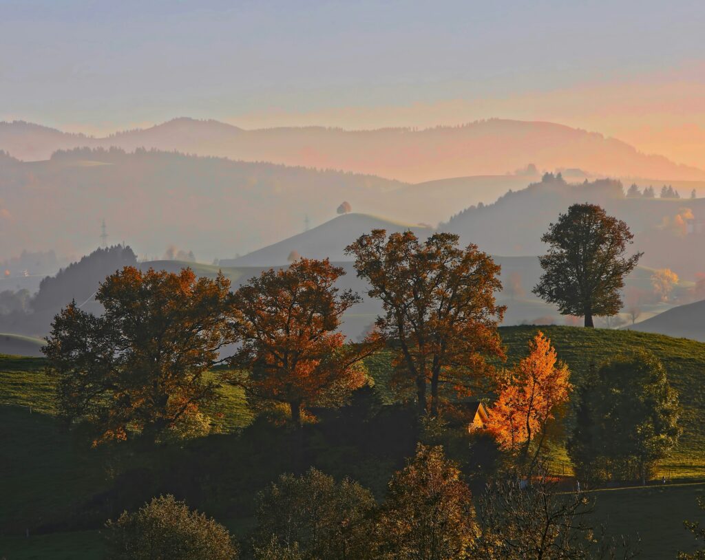 Using Fall’s Energy to Create Balance and Health Using Fall’s Energy to Create Balance and Health