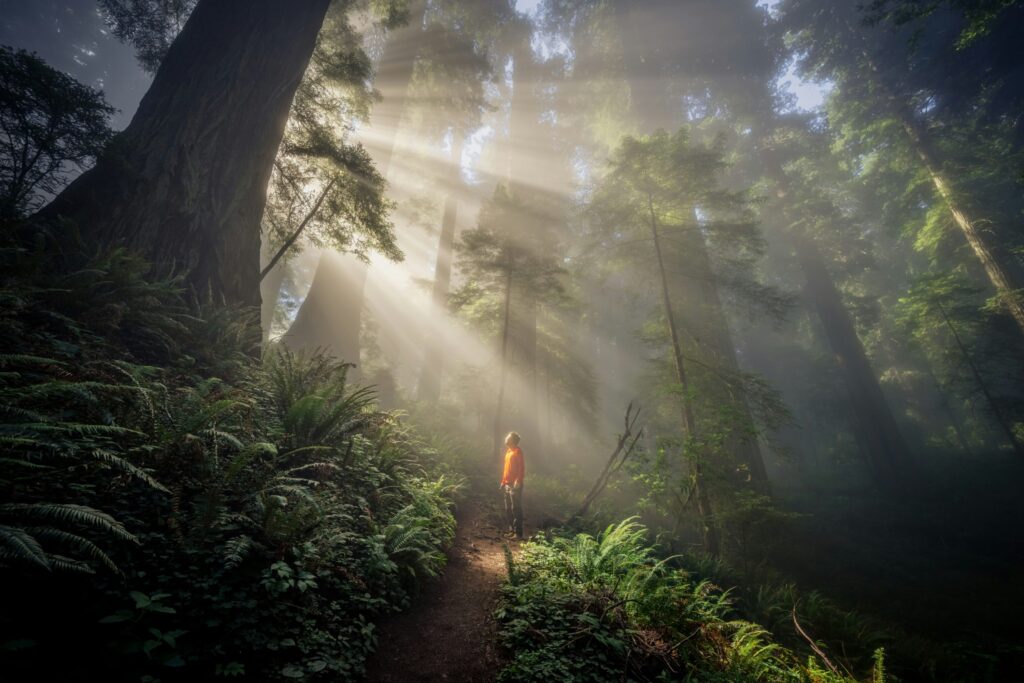 Finding Freedom as Seasons Transition
