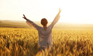 A woman in a field in summer with her arms stretched towards the sky.